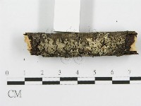 登錄號:F0013701藏品圖，第6張