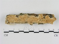 登錄號:F0013702藏品圖，第1張