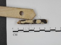 登錄號:F0013704藏品圖，第1張