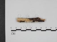 登錄號:F0013704藏品圖，第3張