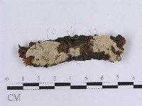 登錄號:F0013705藏品圖，第1張