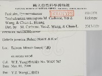 登錄號:F0013706藏品圖，第2張