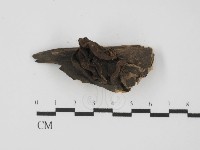 登錄號:F0013706藏品圖，第1張