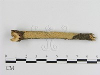 登錄號:F0013707藏品圖，第1張