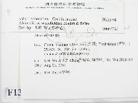 登錄號:F0013708藏品圖，第2張