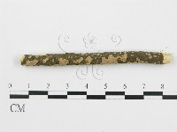登錄號:F0013708藏品圖，第4張