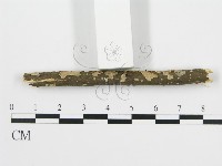 登錄號:F0013708藏品圖，第6張