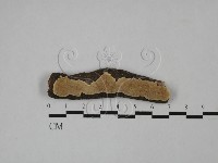 登錄號:F0013709藏品圖，第1張