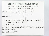 肉齒菌屬藏品圖，第2張