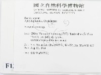 登錄號:F0013713藏品圖，第2張
