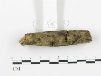 登錄號:F0013713藏品圖，第4張