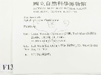 射脈菌屬藏品圖，第2張