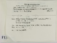登錄號:F0013716藏品圖，第2張