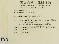 登錄號:F0013717藏品圖，第2張