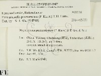 登錄號:F0013718藏品圖，第2張