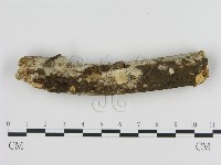 登錄號:F0013718藏品圖，第3張