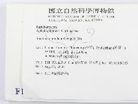 登錄號:F0013719藏品圖，第2張
