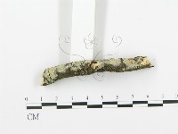 登錄號:F0013719藏品圖，第3張