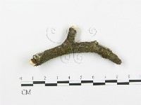 登錄號:F0013719藏品圖，第4張