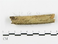登錄號:F0013721藏品圖，第1張