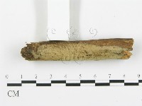 登錄號:F0013721藏品圖，第3張