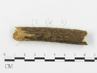 登錄號:F0013721藏品圖，第4張