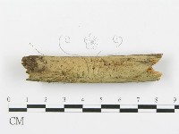 登錄號:F0013721藏品圖，第5張