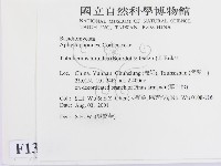 登錄號:F0013722藏品圖，第2張