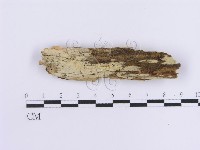 登錄號:F0013722藏品圖，第1張