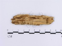 登錄號:F0013722藏品圖，第3張