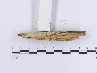 登錄號:F0013722藏品圖，第4張