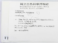 骨皮菌屬藏品圖，第2張