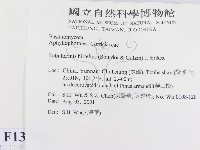 登錄號:F0013726藏品圖，第2張