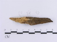 登錄號:F0013726藏品圖，第4張