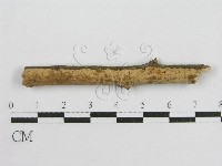 登錄號:F0013727藏品圖，第1張