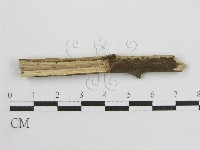 登錄號:F0013727藏品圖，第3張