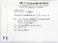 登錄號:F0013728藏品圖，第2張