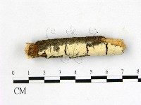 登錄號:F0013728藏品圖，第1張