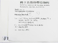 登錄號:F0013729藏品圖，第2張