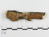 登錄號:F0013729藏品圖，第1張