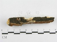 登錄號:F0013729藏品圖，第3張