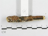 登錄號:F0013729藏品圖，第5張