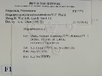 登錄號:F0013730藏品圖，第2張