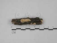 登錄號:F0013730藏品圖，第1張