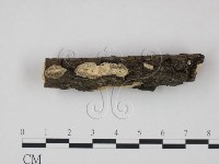 登錄號:F0013730藏品圖，第3張