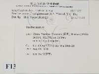 登錄號:F0013731藏品圖，第2張
