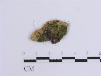 登錄號:F0013731藏品圖，第3張