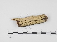 登錄號:F0013732藏品圖，第1張