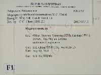 登錄號:F0013733藏品圖，第2張