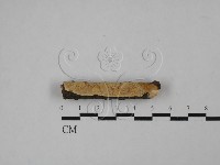 登錄號:F0013733藏品圖，第1張